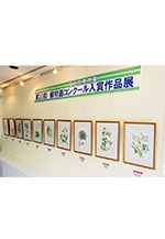 第21回福岡市植物園植物画コンクール入賞作品展