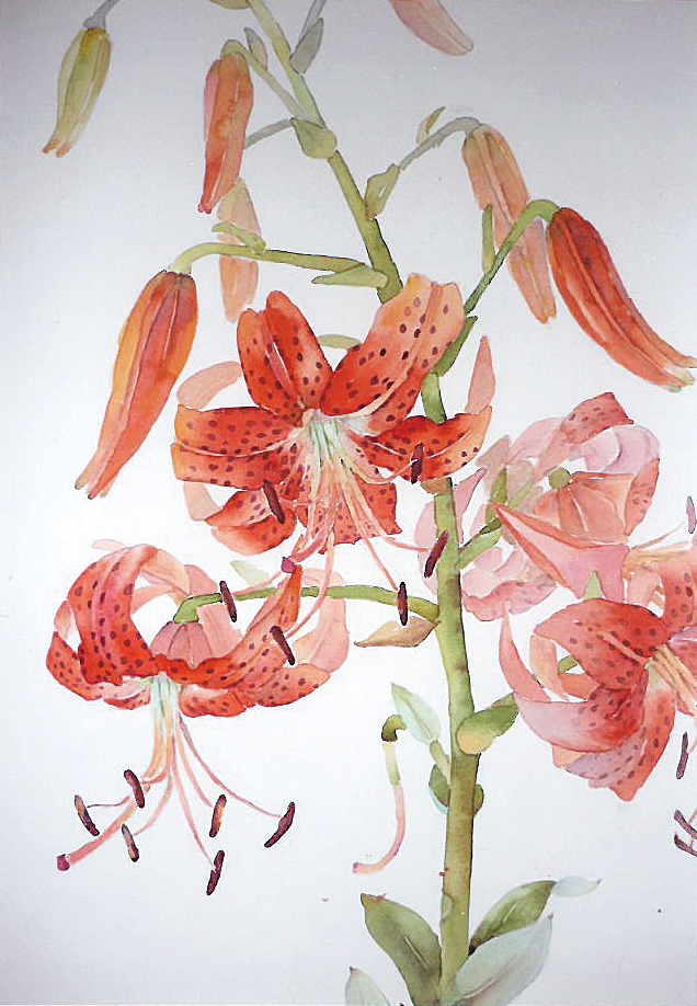 花の水彩画教室　天神デビュー展