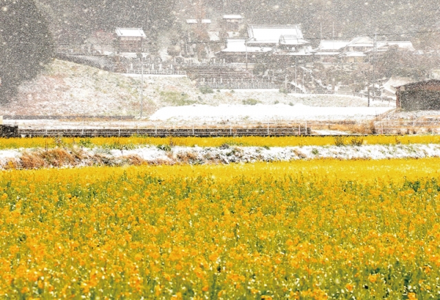 古賀の魅力再発見コンテスト2018受賞作品展