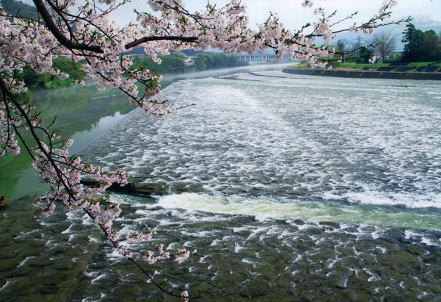 水土里のふるさと写真コンテスト入賞作品展