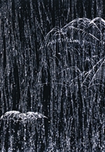 写団「むなかた」15周年記念作品展