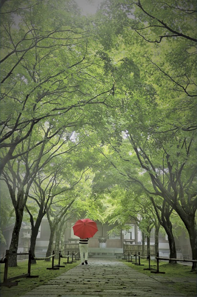 心と体を浄化する町“ささぐり”四季パネル展