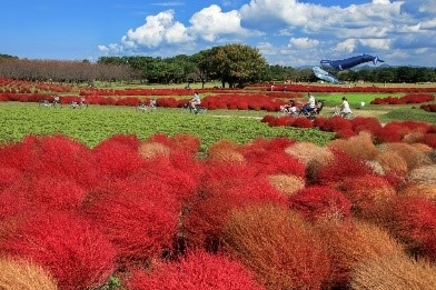 第22回花と緑のまちかど写真コンテスト入賞作品展