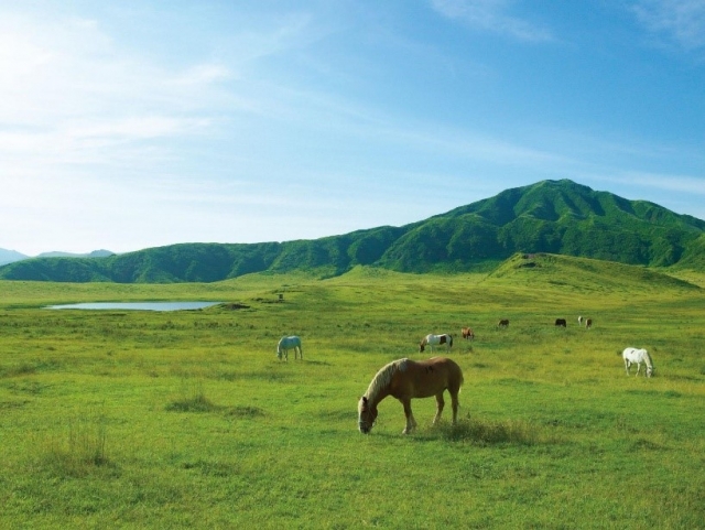 この夏、くまもと旅へ～自然満喫の旅～