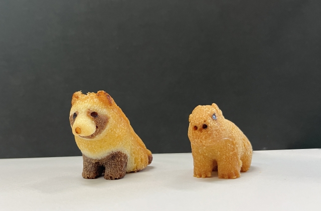 大牟田市ともだちや絵本美術館　出張マルシェ