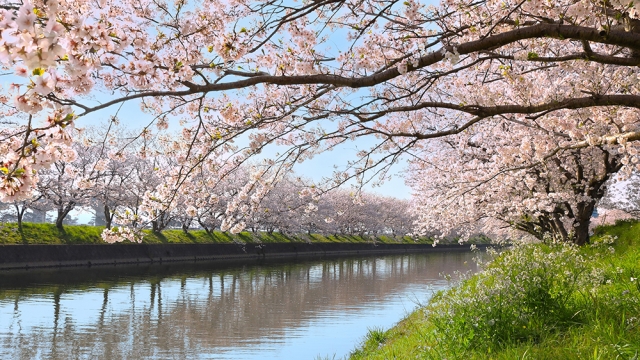 糸島を愛するアマチュア写真家『二人展』