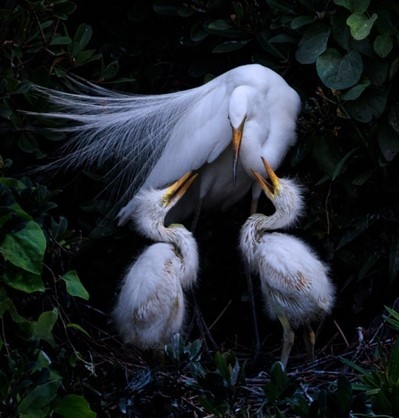 自然と四季の輝き<グループ写真展>