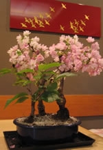 東日本大震災応援企画　桜と器展