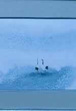 彩滴会（書・水墨画）作品展