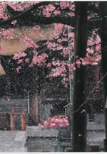 福津市観光協会　フォト＆スケッチコンテスト入賞作品展