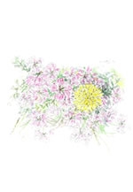 野の花庭の花を描くグループ展　─移る季節を追いかけて─