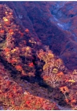 第7回写楽の会｢写真展｣