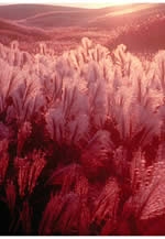 西長住写真クラブ展