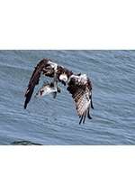 第5回遠賀川景観写真コンテスト・第5回遠賀川スケッチコンクール入賞作品展