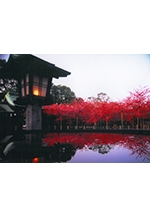 ふくつ観光フォトコンテスト入賞作品展