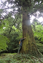 九州・沖縄の森林セラピー展