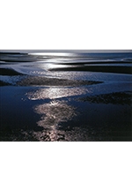 第17回　写心グループ写真展「私たちの視点ⅩⅦ」