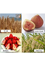 ふくおか農林業の魅力再発見