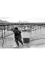 ものくろ会写真展