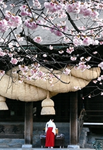 ふくつ観光フォトコンテスト入賞作品展