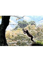 第８回写楽の会「写真展」