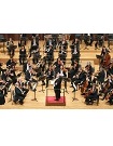 ベルリン交響楽団　Berliner Symphoniker