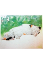 あっちもこっちも猫！～気まぐれ猫の絵画展～