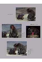 ミノルタカメラクラブ写真展