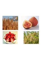 ふくおか農林業の魅力再発見