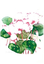 花と実の水彩画展