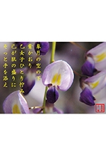 五行歌（短歌）の世界へ展