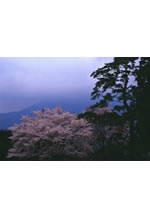 アクロス・文化であい塾「写真家が語る九州桜紀行」