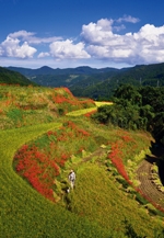 水土里（みどり）のふるさと写真コンテスト入賞作品展