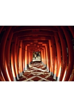 第8回西田莉桜写真展