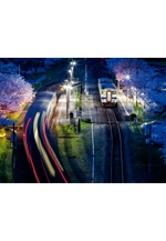 第10回昭和フォトサークル写真展