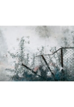 NHK文化センター福岡教室「やさしい日本画」教室展