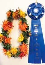 PUAMELIARIBBONLEIFUKUOKA教室展