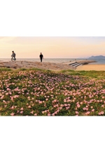 古賀の魅力再発見コンテスト2016受賞作品展