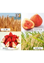 ふくおか農林業の魅力再発見