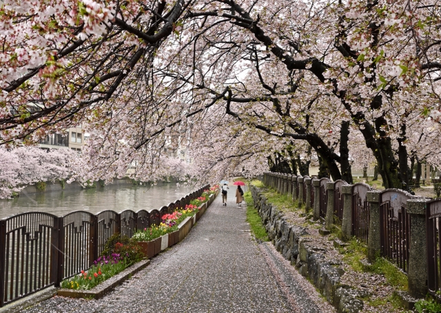 花と緑のまちかど写真コンテスト入賞作品展