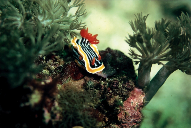 二人展〜ふたたび〜