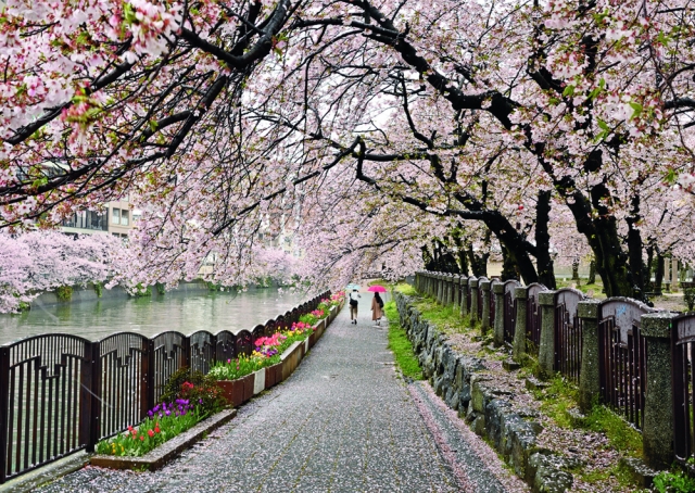 花と緑のまちかど写真コンテスト入賞作品展