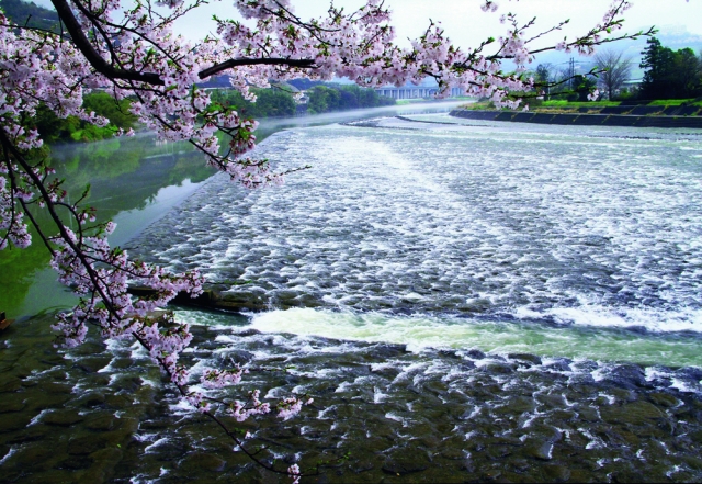 水土里のふるさと写真コンテスト入賞作品展示会