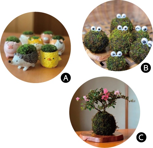 こけ玉作り体験