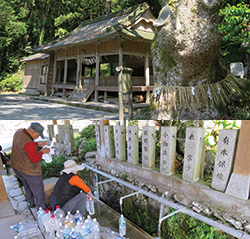 水神社の湧き水