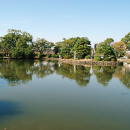 外苑の大川公園