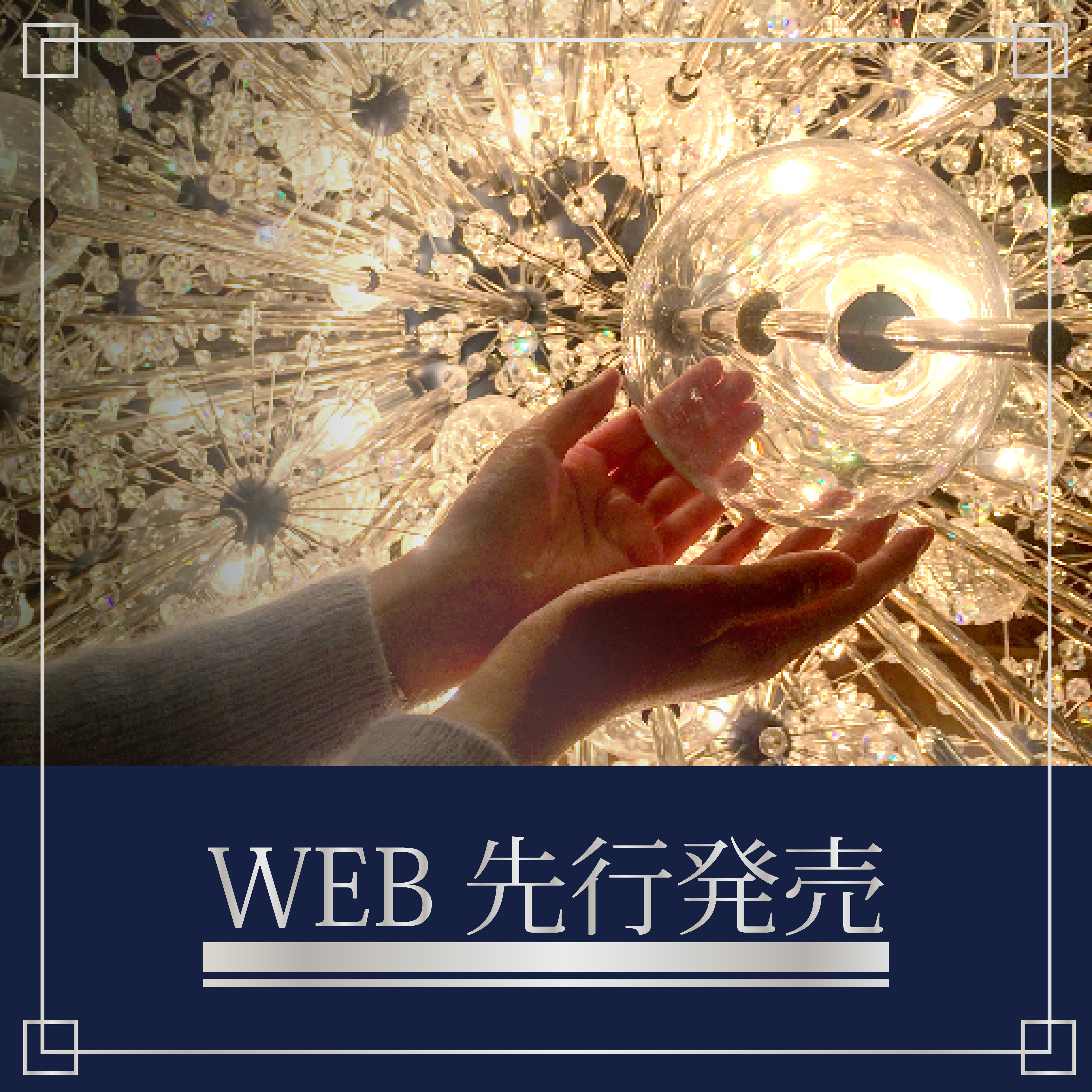 WEB先行発売開始！